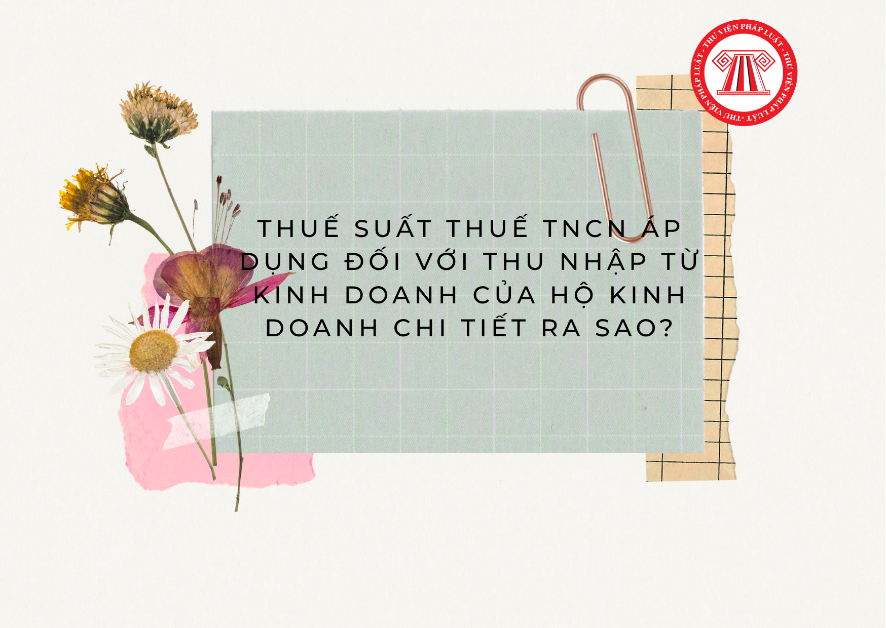 Pháp luật
