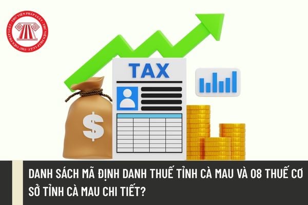 Pháp luật