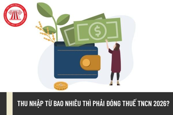 Pháp luật