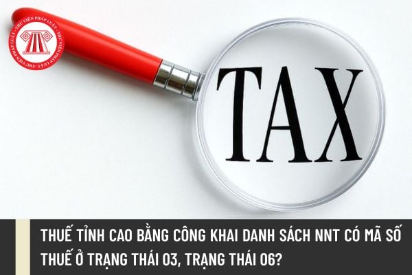 Thuế tỉnh Cao Bằng công khai danh sách NNT có mã số thuế ở trạng thái 03, trạng thái 06?