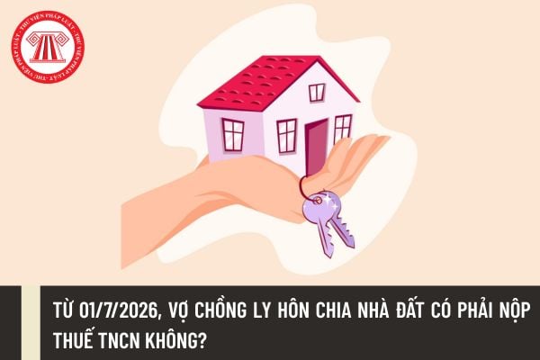 Pháp luật