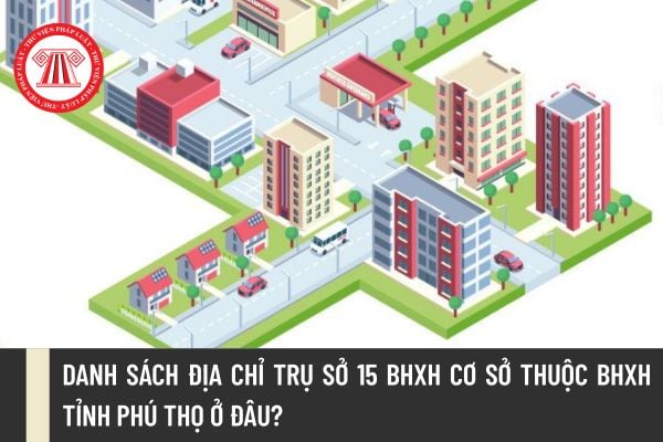 Pháp luật
