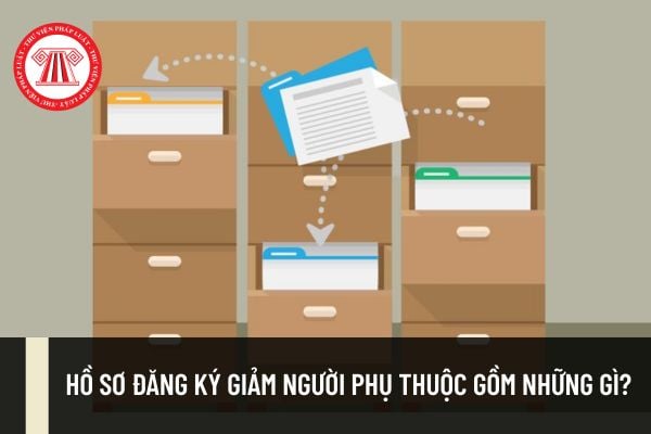 Pháp luật