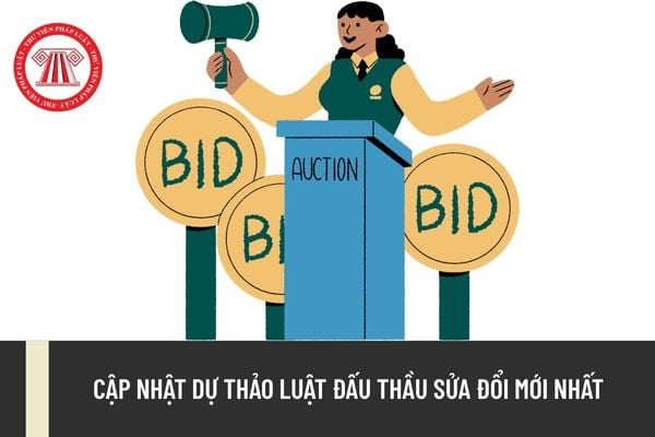 Pháp luật