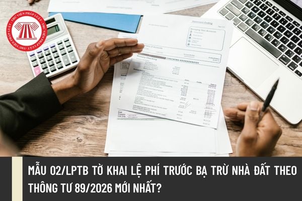 Pháp luật