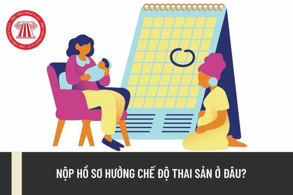 Pháp luật