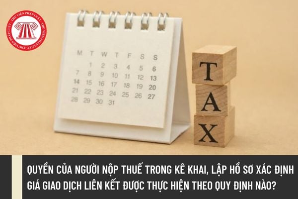 Pháp luật