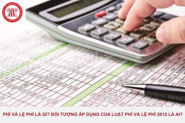 Pháp luật