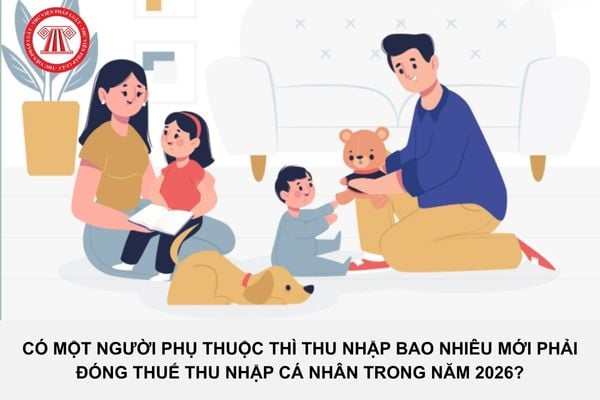 Pháp luật