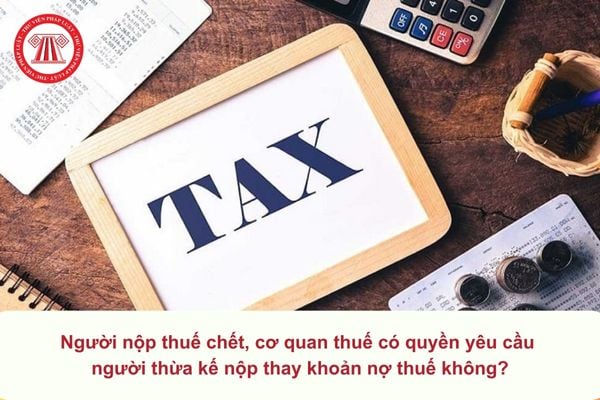 Pháp luật