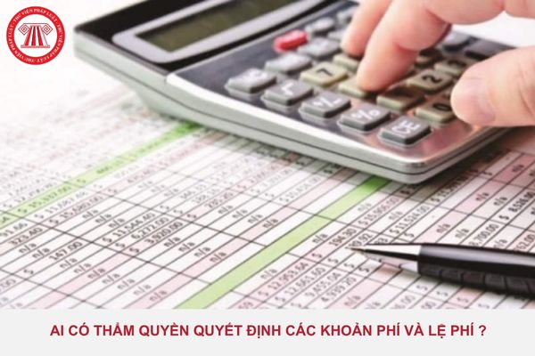 Pháp luật