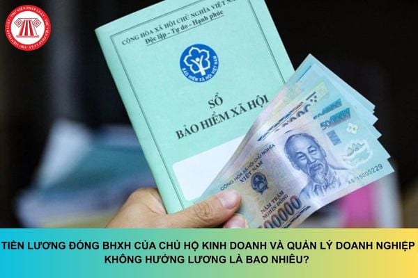 Pháp luật