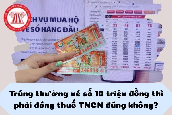 Pháp luật