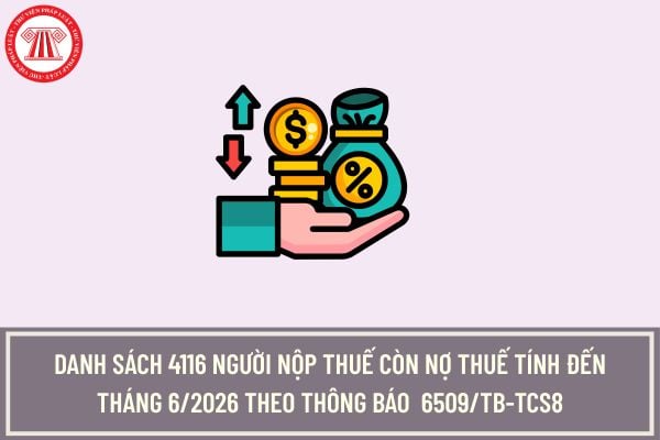 Pháp luật