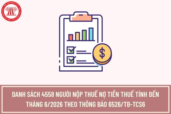 Pháp luật