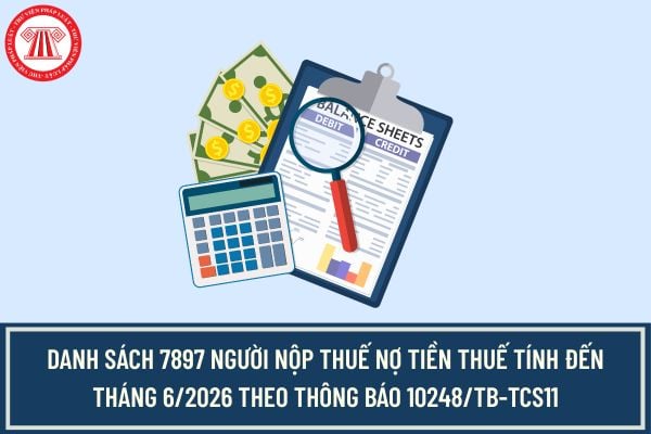 Pháp luật