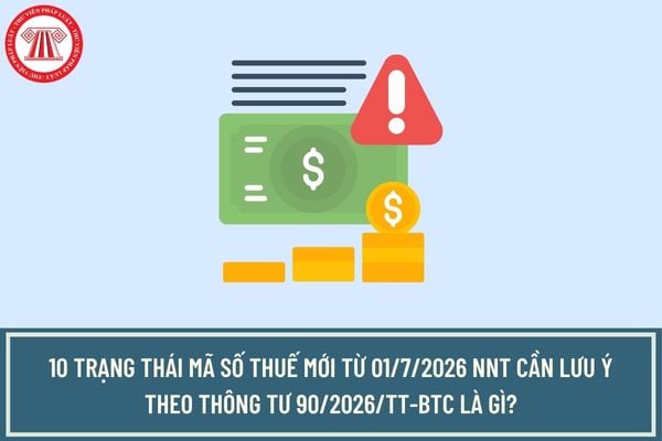 Pháp luật