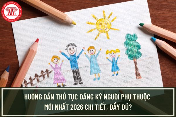 Pháp luật