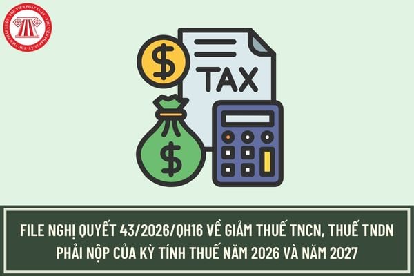 Pháp luật