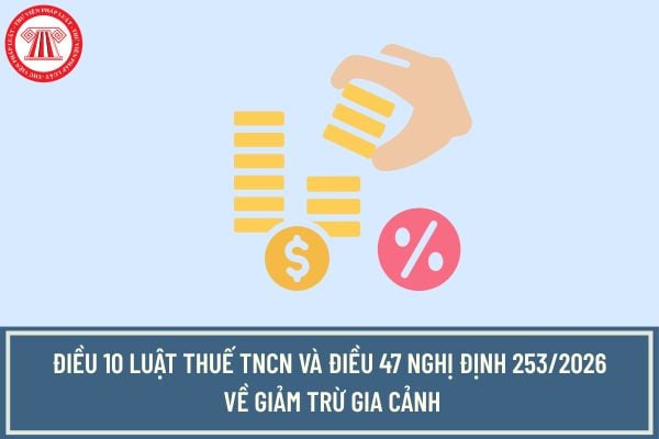 Pháp luật