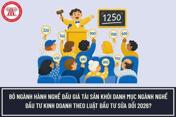 Pháp luật