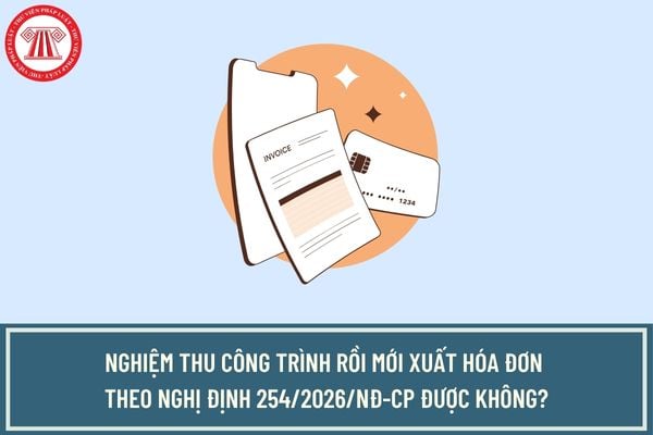 Pháp luật