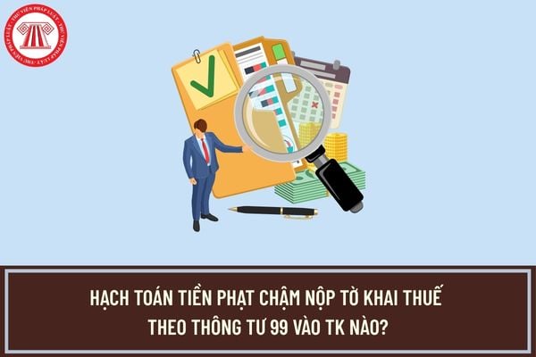 Pháp luật