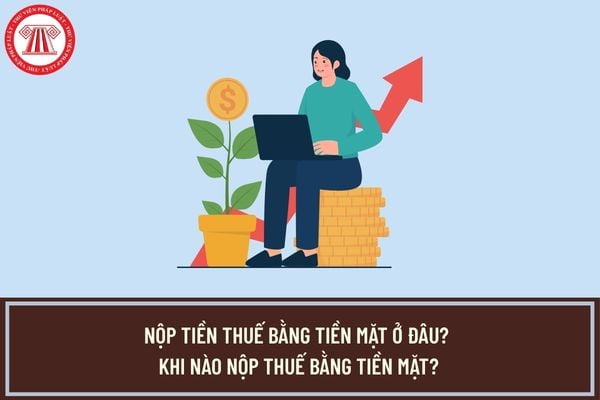 Pháp luật
