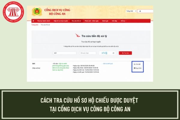 Pháp luật