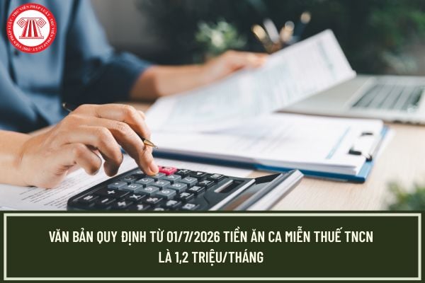 Pháp luật