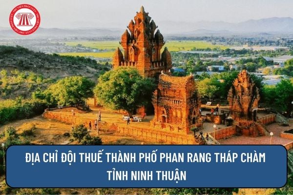 Pháp luật