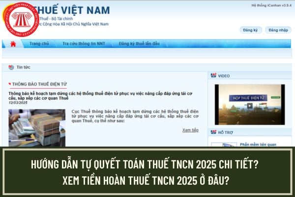 Pháp luật