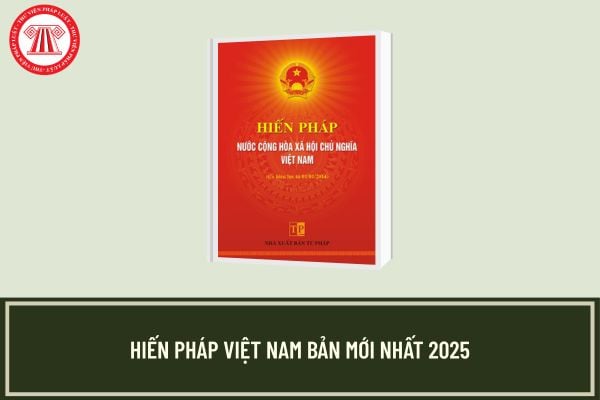 Pháp luật