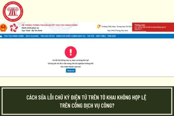Pháp luật