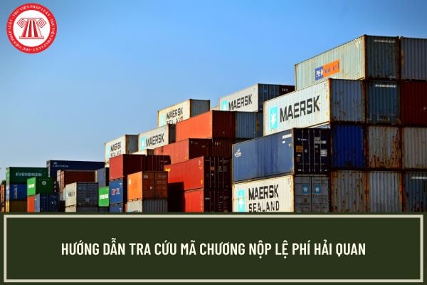 Pháp luật