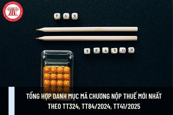 Pháp luật