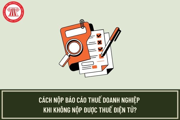 Pháp luật