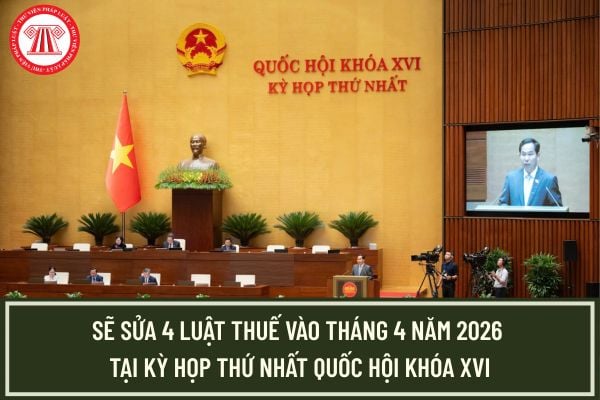 Pháp luật