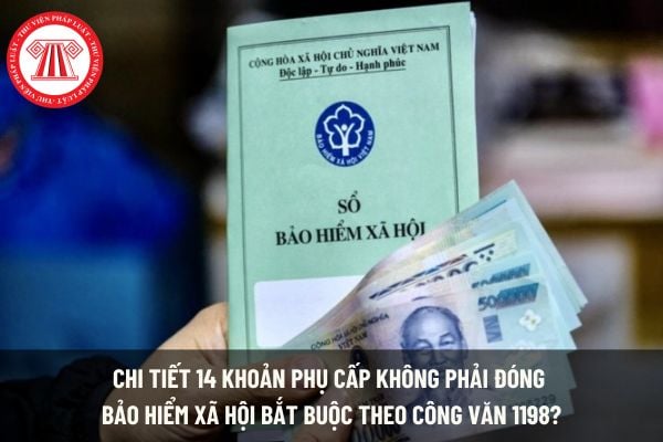 Pháp luật