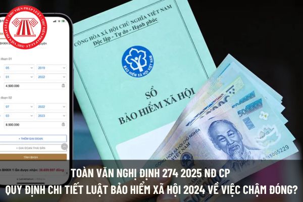 Pháp luật