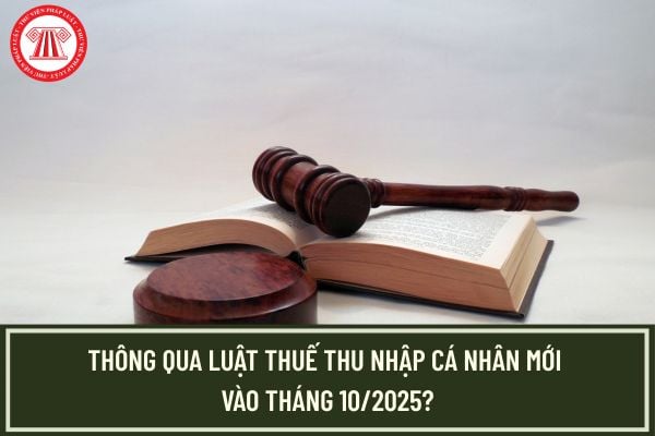 Pháp luật