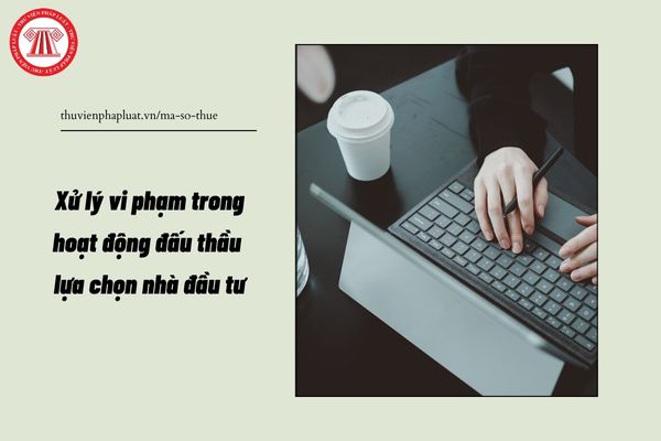 Pháp luật