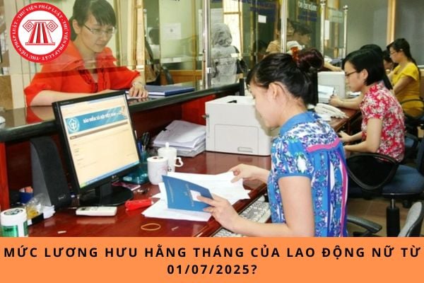 Pháp luật