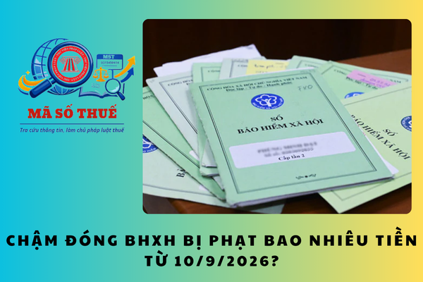 Pháp luật