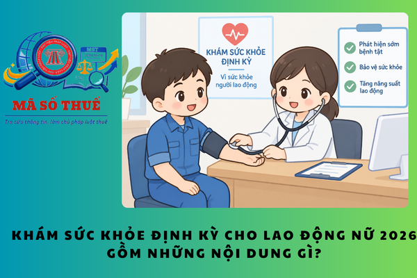 Pháp luật