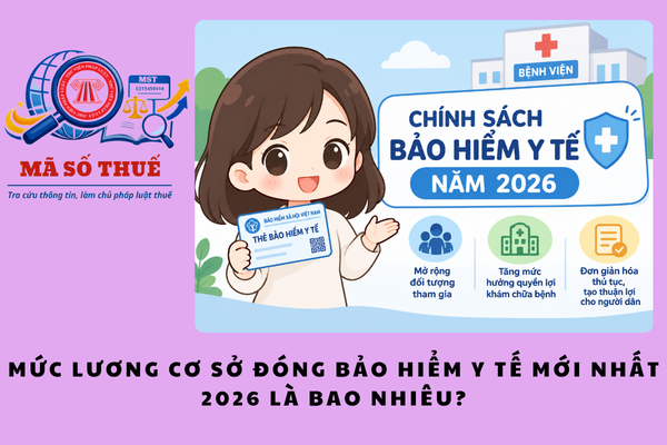 Pháp luật