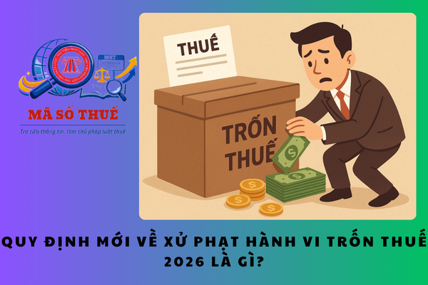 Pháp luật