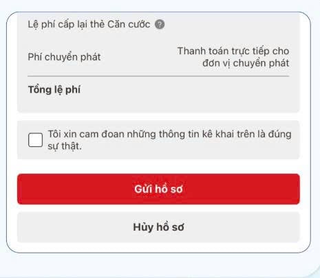 Ảnh 4