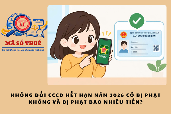 Pháp luật