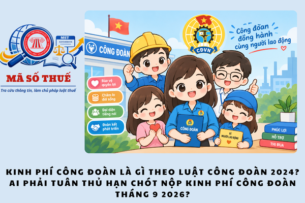 Pháp luật